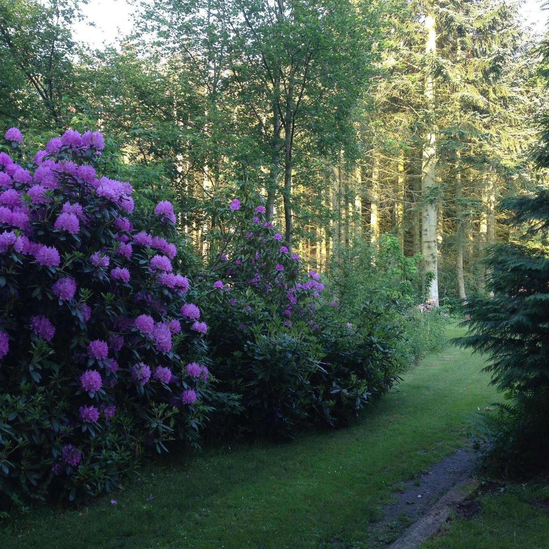 By The Bridge Bed & Breakfast Bed and Breakfast Middelfart Eksteriør billede