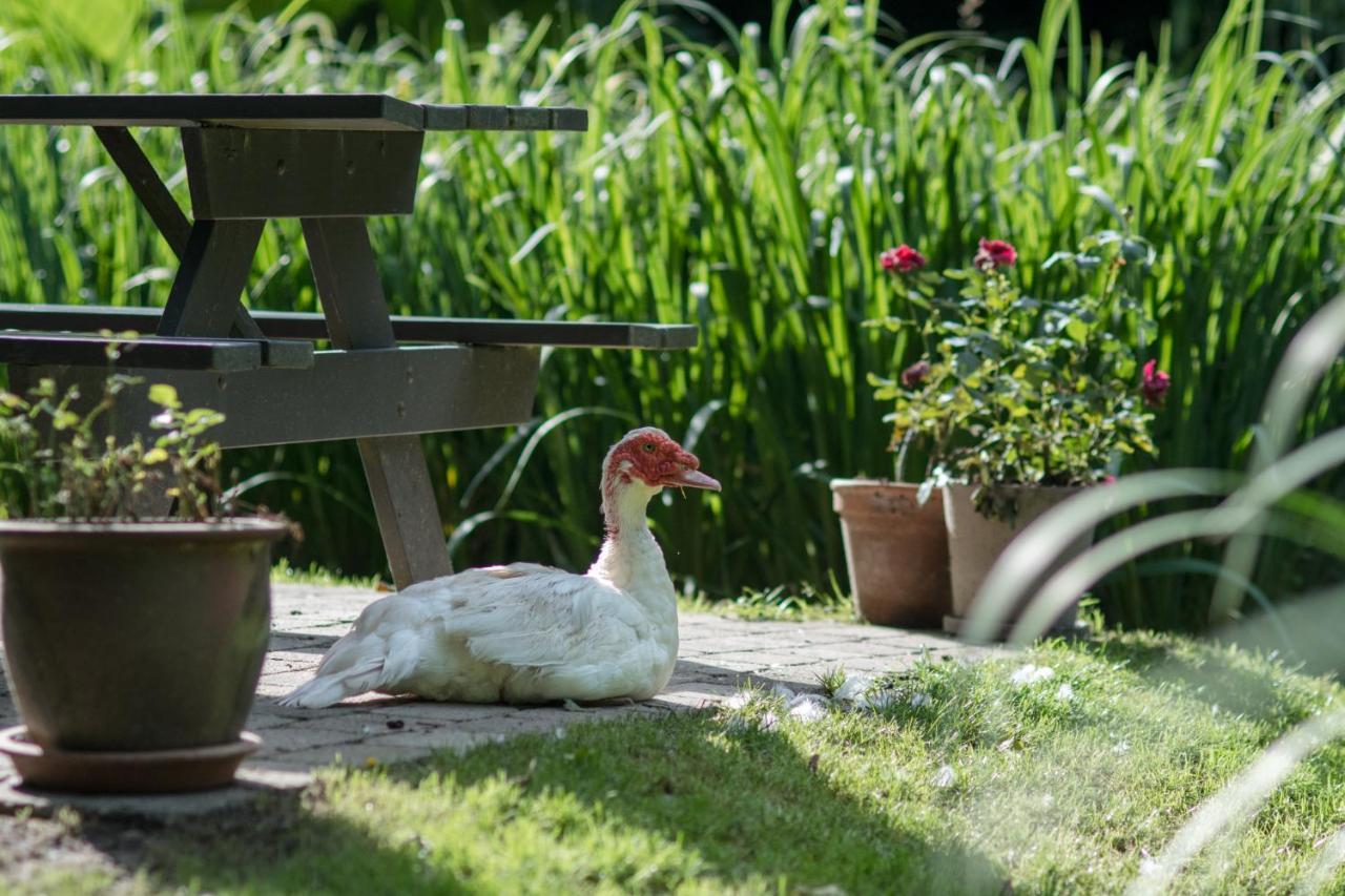 By The Bridge Bed & Breakfast Bed and Breakfast Middelfart Eksteriør billede